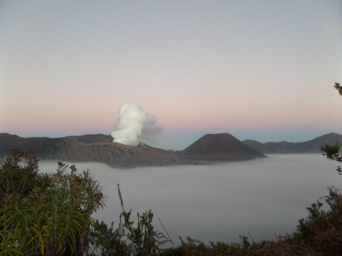 Rumah Singgah Brm Hotel Bromo Ngoại thất bức ảnh